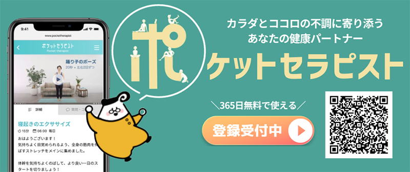 ポケットセラピスト